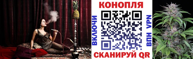 купить наркоту  Игра  МАРИХУАНА OG Kush 